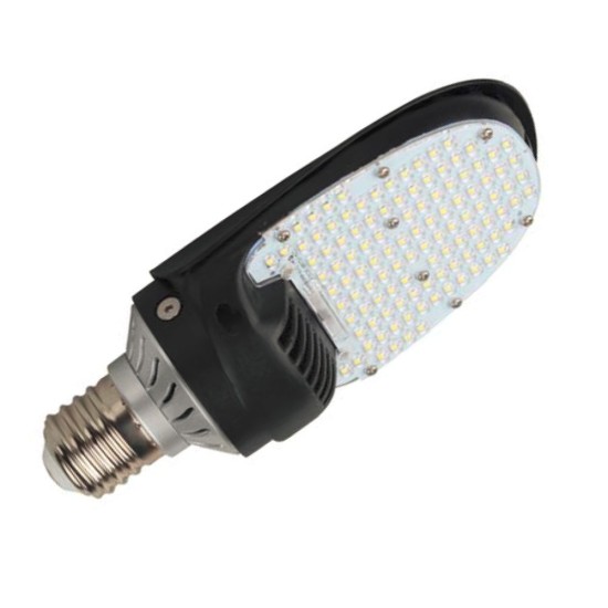 180D Corn Bulb