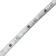 Landscape 12V AC/DC Accent Light 1.5W,100LM/FT Landscape 12V AC/DC Accent Light 1.5W,100LM/FT