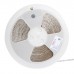 Bright Accent Light 100FT 2W,175LM/FT