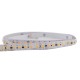 Long Run Medium Light 3W, 255LM/FT