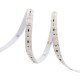 Long Run Medium Light 3W, 255LM/FT