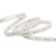 Outdoor Medium Brightness 16FT 3W, 220LM/FT
