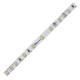 CCT Adjustable Light 3.5W, 260LM/FT CCT Adjustable Light 3.5W, 260LM/FT
