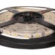 Medium Output Light 3.5W, 275LM/FT Medium Output Light 3.5W, 275LM/FT