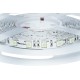 6584-5050-50K-12V-CRI90-100 6584-5050-50K-12V-CRI90-100