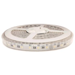 Outdoor RGBW True White RGBW 4.4W/ft 60LED/m 24V DC Outdoor RGBW True White RGBW 4.4W/ft 60LED/m 24V DC