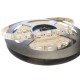 Color Changing Tunable White RGB/CCT 4.4W/ft 60LED/m 24V DC