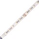 Color Changing Tunable White RGB/CCT 4.4W/ft 60LED/m 24V DC