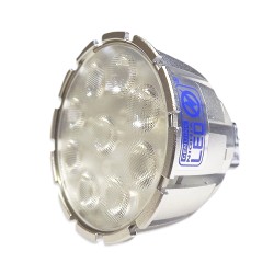MR16 8W 36° NICHIA Bulb