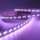 8mm Mini Color Changing True White RGBW 2.5W/ft 120LED/m 24V DC