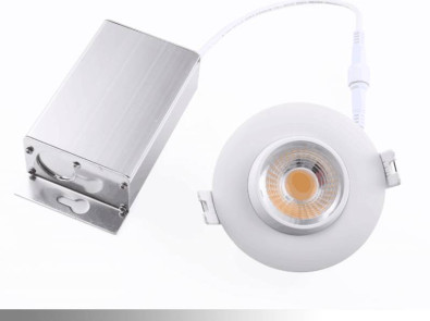 Canless Eyeball Light