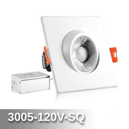 Canless Eyeball Light