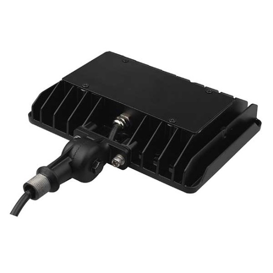 2020-50W-CW-KN 2020-50W-CW-KN