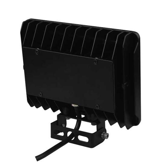2020-50W-NW-TRU 2020-50W-NW-TRU